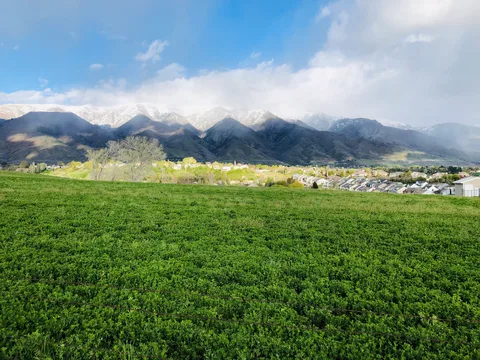Snow-dusted Wasatch peaks above East Layton homes and a green field