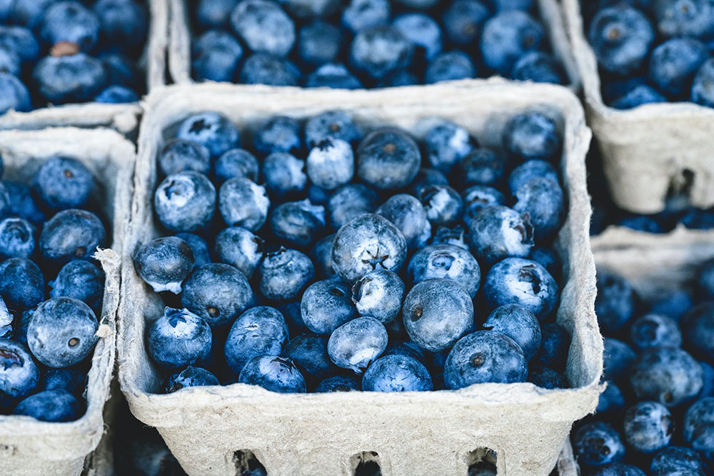 Bluberries are what foods are high in antioxidants. This image shows blueberries in a gray carton surrounded by other similar cartons
